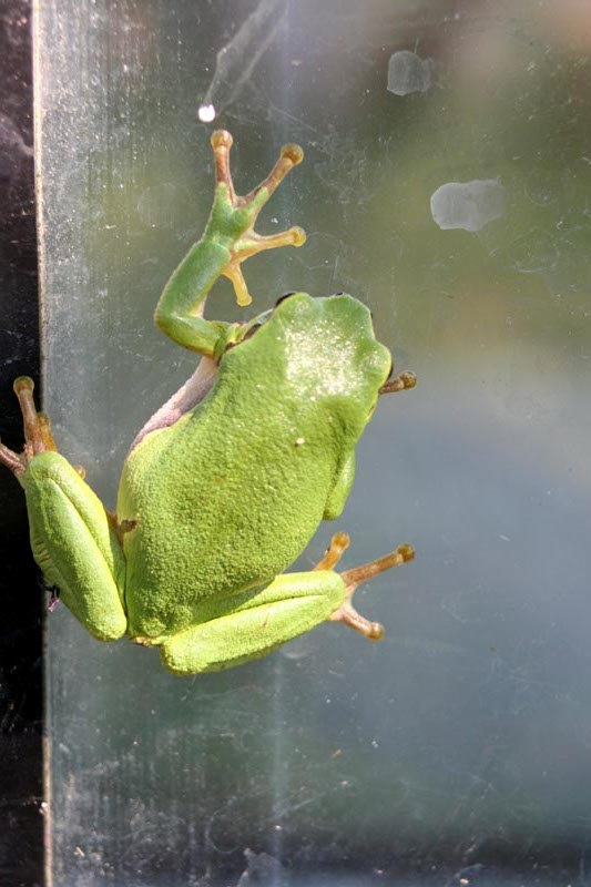 Killikus® Fotographie Killikus® Fotographie